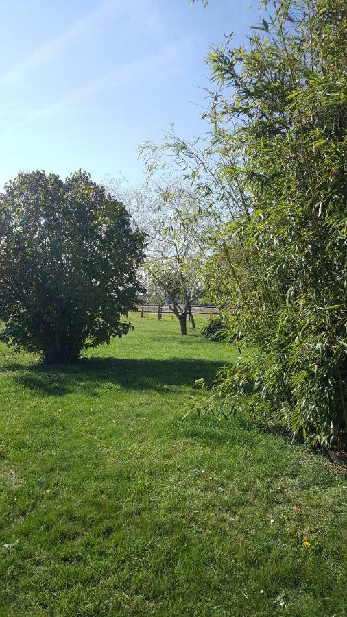 Gite Le Campagnard Saint-Germain-Des-Bois  Exteriör bild